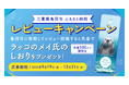 【DMM 地方創生】鳥羽水族館 ラッコのメイちゃんグッズが先着500名様に!三重県鳥羽市ふるさと納税レビュー投稿キャンペーン開催!
