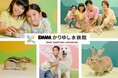 【DMMかりゆし水族館】この夏、新しい生きものたちが続々仲間入り！世界最大のウサギとの新たなふれあい体験も提供