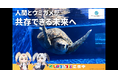 【DMM 地方創生】日本唯一のうみがめ博物館「カレッタ」のクラウドファンディングを、DMMが伴走支援！