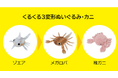 ぬいぐるみデザイナー・せこなおさん発案!カニの成長を再現する「くるくる3変形ぬいぐるみ・カニ」が新発売!