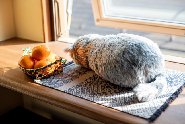 猫を飼うこと諦めニャいで 好きなだけモフモフ ゴロゴロ体験できる ほぼ猫のようなネコ型クッション が クラウドファンディングで1000 達成 株式会社パートナーズのプレスリリース