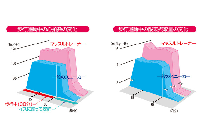 同一条件の歩行運動ではマッスルトレーナーの方が一般のスニーカーよりも運動効果が高いことがわかります。（メーカー委託試験による）