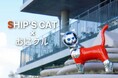 3/15(土)~3/23(日)「さよならSHIP’S CAT展」を茨木市のおにクルで開催!