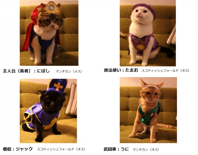 かわいい ネコ勇者 たちがドラゴンクエストの世界を大冒険 星のドラゴンクエスト Webムービー 猫の日 星ドラ ネコ勇者たちが冒険してみた 2月22日の 猫の日 に堂々公開 株式会社スクウェア エニックスのプレスリリース