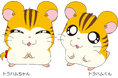 今日はトラハムくん&トラハムちゃんのお誕生日! 『とっとこハム太郎』最新グッズ情報!