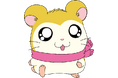 🐹今日はマフラーちゃんのお誕生日🧣アニメ放送25周年記念イヤー『とっとこハム太郎』最新情報!