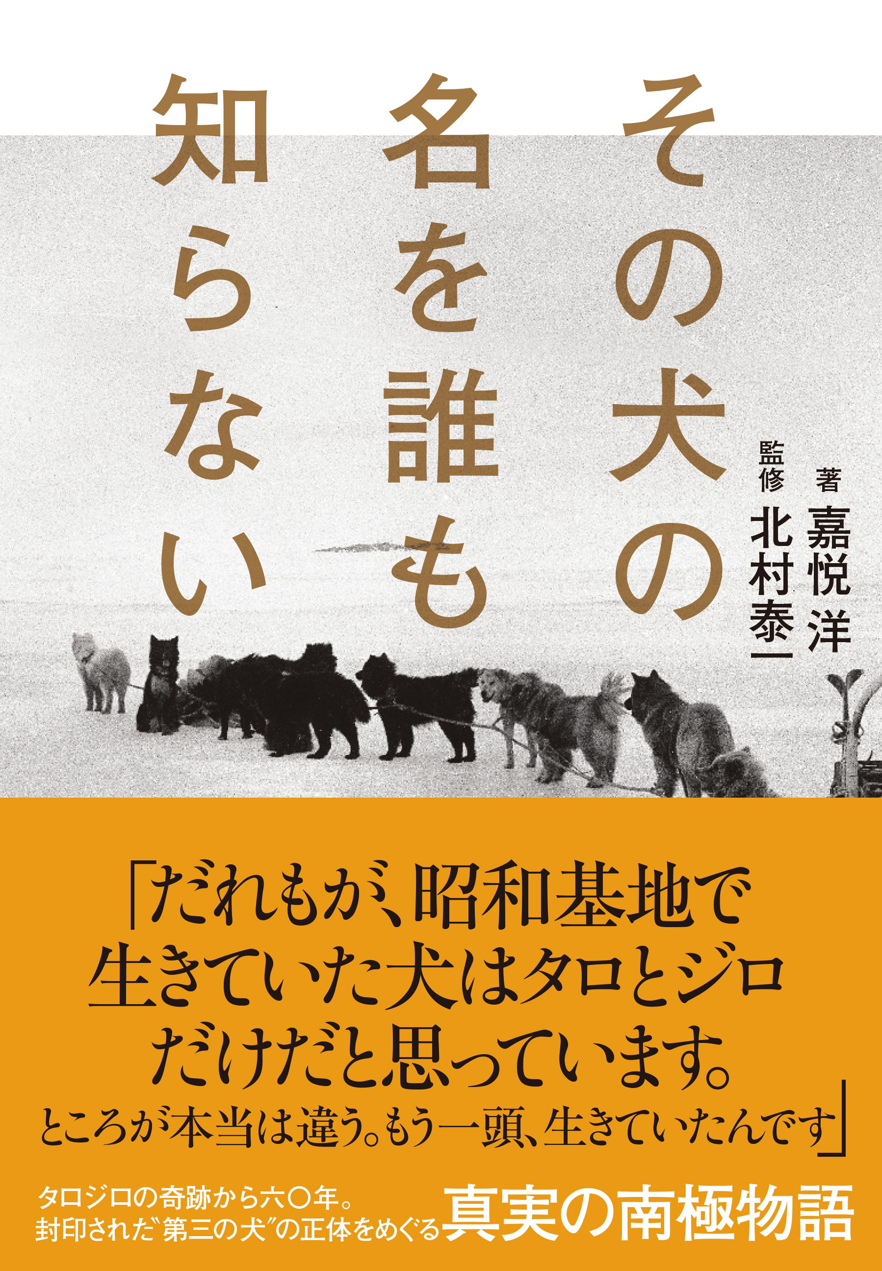 タロジロの奇跡から６０年 歴史に封印された知られざる 第三の生存犬 の正体 に迫るノンフィクション その犬の名を誰も知らない が発売 株式会社小学館集英社プロダクション Shopro のプレスリリース