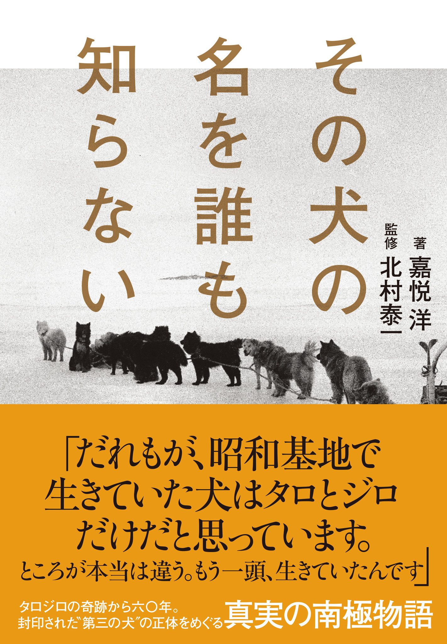 多数の新聞 雑誌 Tvに取り上げられ 大反響 タロジロ奇跡 の生還の謎を解き明かすノンフィクション書籍 その犬の名を誰も知らない 5刷重版決定 株式会社小学館集英社プロダクション Shopro のプレスリリース