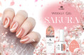 【HOMEIウィークリージェル】“ぷるちゅる”質感の桜マグネットネイルが数量限定で新登場
