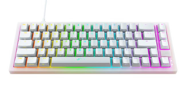 K5コンパクト RGB 65% 透過ホワイト