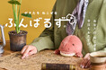【恐竜たちがあなたの姿勢をサポート!】SNSで話題の『ふんばるず』に「ティラノサウルス」「トリケラトプス」「ステゴサウルス」が登場!2025年9月26日(金)より販売開始。