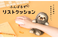 【ふんばるずがリストクッションに！？】“猫背”なあなたを支えるぬいぐるみ『ふんばるず』が、デスクワークで疲れがちな手首もサポート！『ふんばるず リストクッション』が、3月13日(金)より販売開始。