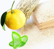 お米由来成分「オリザノール」をはじめ 有効成分がお肌をしっかり保湿します。