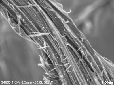 図1.フィブリル化をした木粉