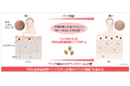 ノエビアグループ、九州産丸大豆「ふくゆたか」の『豆乳由来高純度イソフラボン』が肌のバリア機能を強化することを解明