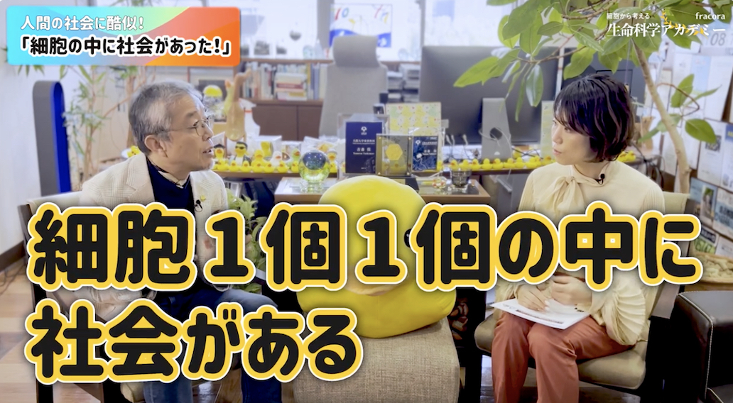 細胞生物学者 吉森保先生に聞く！オートファジーの「秘密」とは？ ｜株式会社 協和のプレスリリース