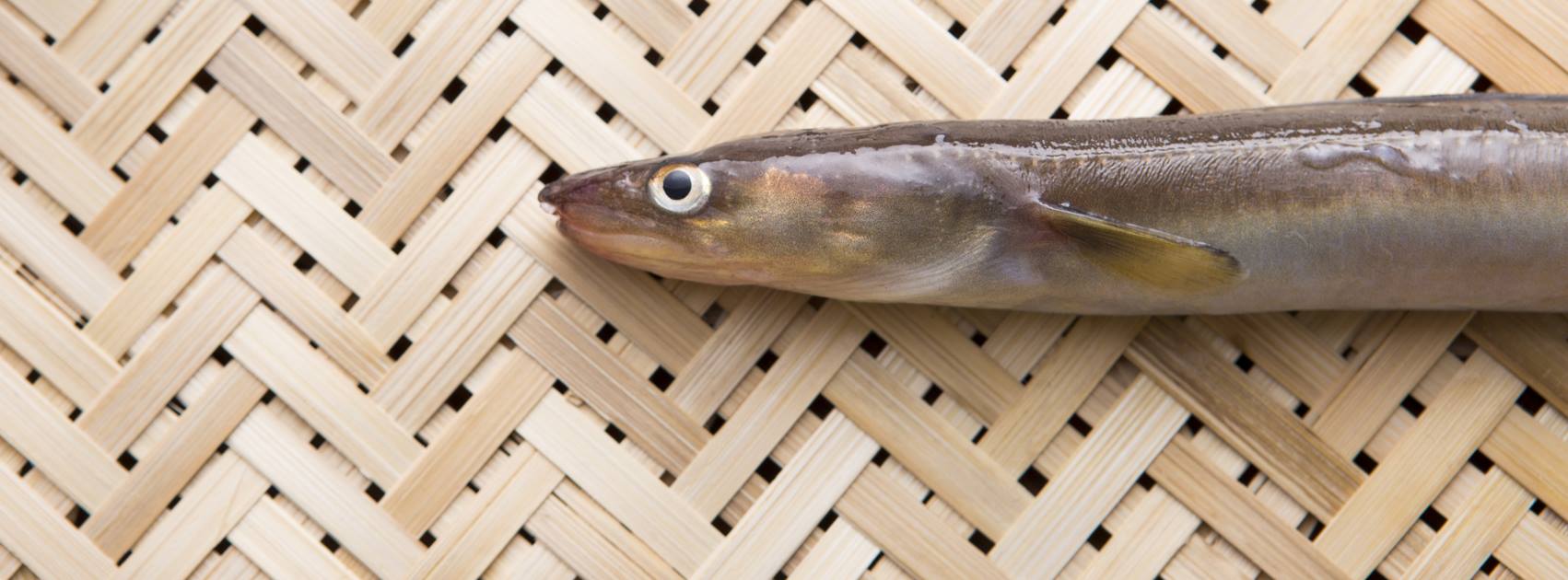 穴子の日 全国初 穴子好きが大興奮するはず 穴子のお鮨オンパレードメニューなど提供開始 株式会社マリブのプレスリリース