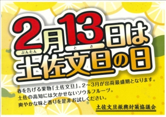 高知県民が愛する果物のシーズン到来！全国一の出荷量を誇る 「土佐文旦」｜一般財団法人 高知県地産外商公社のプレスリリース