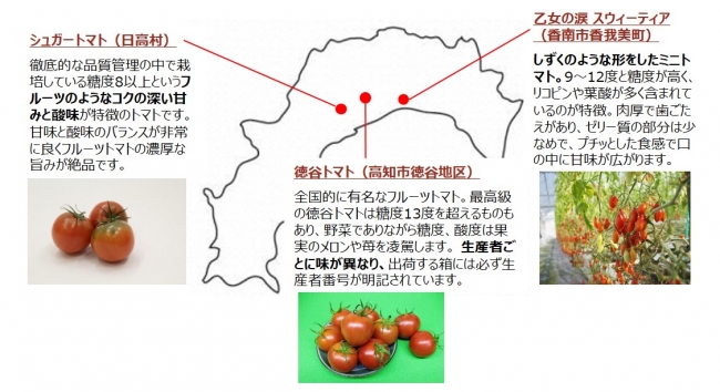 フルーツトマト発祥の地 高知県が誇る冬春の特産 トマト 一般財団法人 高知県地産外商公社のプレスリリース