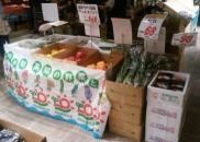▲高知野菜の常設販売コーナー