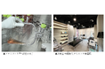 ステムセル研究所とニューロテックメディカル、臍帯由来幹細胞培養上清「ファミリー上清®」の神経再生領域での活用に向け提携開始