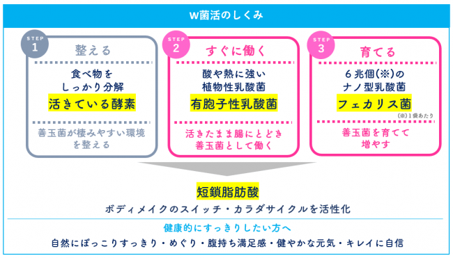 新作アイテム毎日更新 送料無料 夜遅いごはんでもDIET W菌活ボディメイク qols.jp