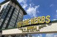 新業態『TO THE HERBS by Trattoria TAVOLA』が鹿児島にオープン 気軽に本格ナポリピッツァなどイタリア料理が楽しめる