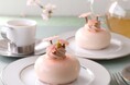 ジョエル・ロブションの桜のプチガトー 春の訪れを感じるフォルムと味わいの「さくら ~桜香るムース~」