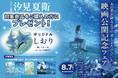 映画『あの星が降る丘で、君とまた出会いたい。』公開記念書店フェア＆SNSプレゼントキャンペーンを実施