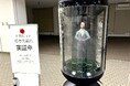 Gatebox、北海道上川町の町長のアバターを活用したAI受付を役所に導入開始!AIを活用した窓口業務の効率化に貢献