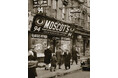 MOSCOT OSAKA 11.29 Grand Open!