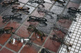 NEW RELEASE〈LEMTOSH Alternative Fit〉