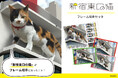 新宿東口の3D猫さまが切手に!フレーム切手セット登場