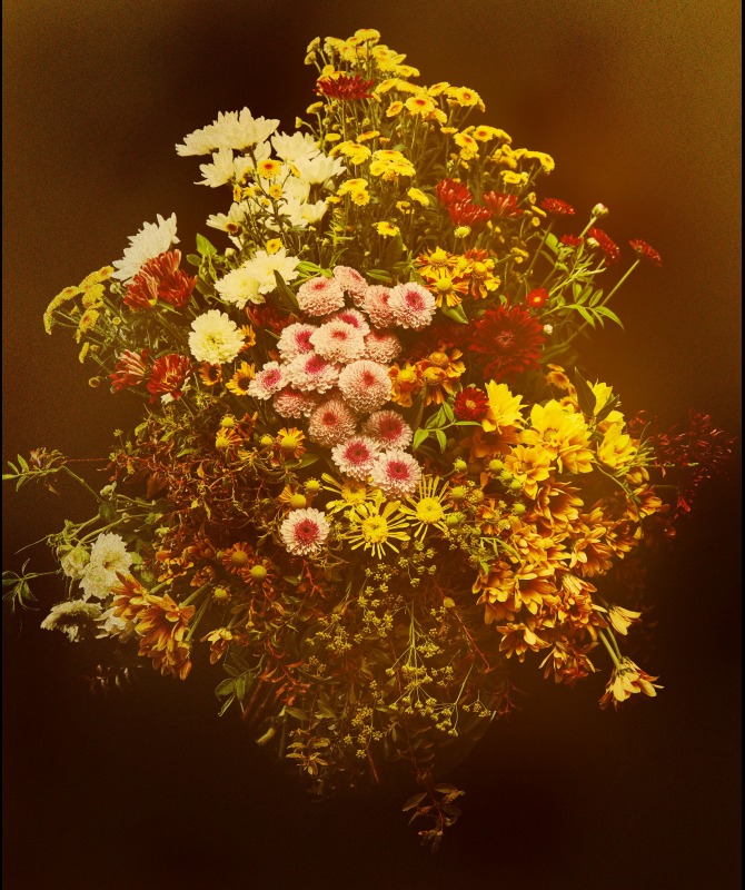 近代の巨匠による油彩画とフラワーアーティスト東信のコラボレーション企画！黒田清輝、ルノワールが描いた花の時の流れを、移ろいゆく生花の映像で追う