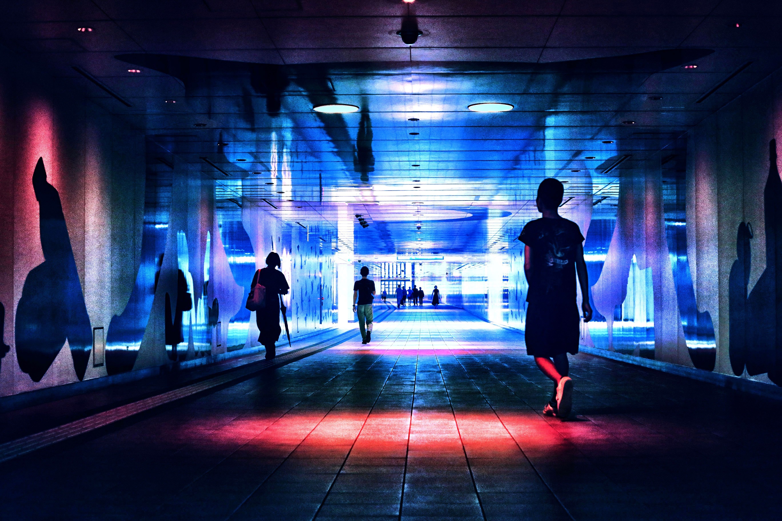 アイデムフォトギャラリー[シリウス]高等学校文化連盟全国写真専門部　第8回　日韓中 高校生フォトコンテスト写真展：2020年2月20日（木）～2月26日（水）