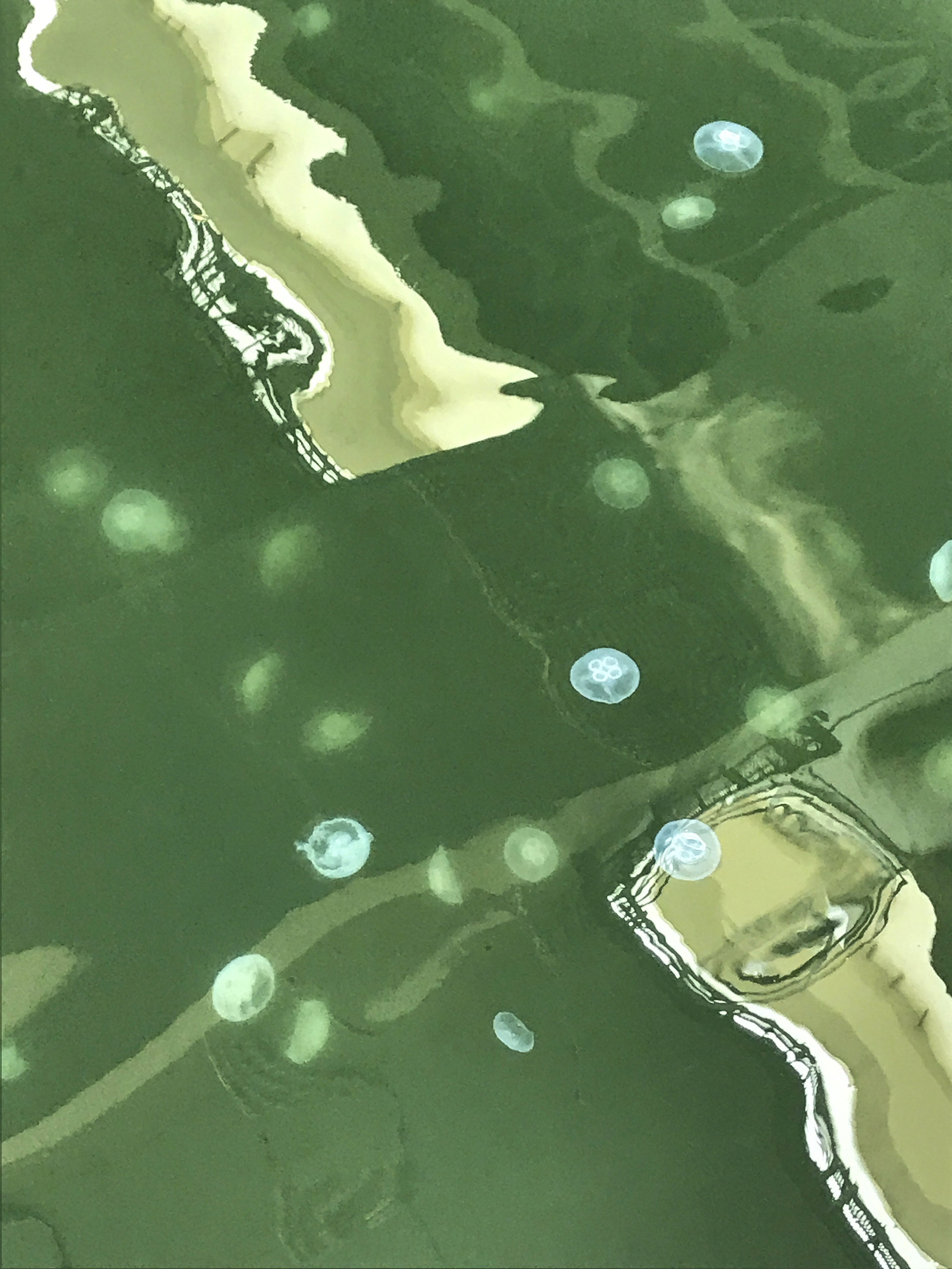 アイデムフォトギャラリー シリウス 第29回 あっぷる写真展 川 21年2月4日 木 2月10日 水 株式会社アイデムのプレスリリース