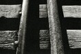 アイデムフォトギャラリー［シリウス］＜プロキオン・フォース＞ 由地　まさる　写真展 「太陽の島」 期間：2026年7月23日（木）～7月29日（水）