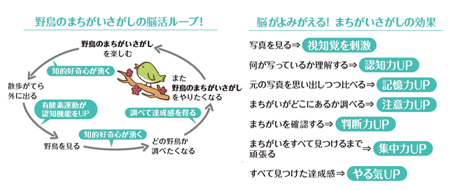 16万人の脳を見てきた脳医学者が勧める脳トレ習慣『1日2分で脳が若返る