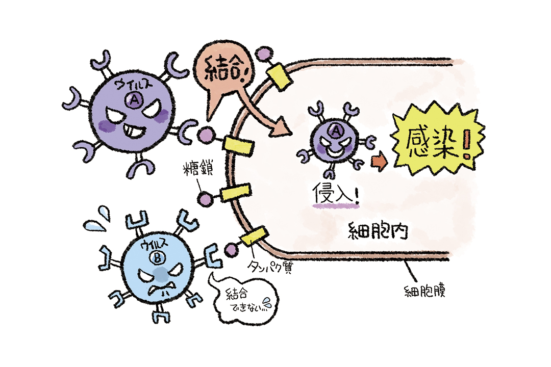 血液型でかかりやすい病気は違う 専門医が教える一歩進んだ 予防医学 の知識と対策で 病気にならない体に 株式会社扶桑社のプレスリリース