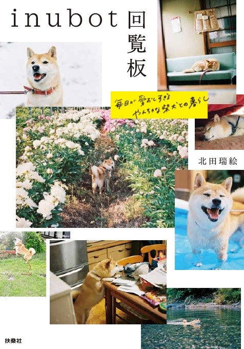 まるで人間 ツイッターで大人気の柴犬が書籍で登場 言葉にできないほど愛おしい姿をぎゅっと収めた Inubot回覧板 8 8 木 発売 株式会社扶桑社のプレスリリース