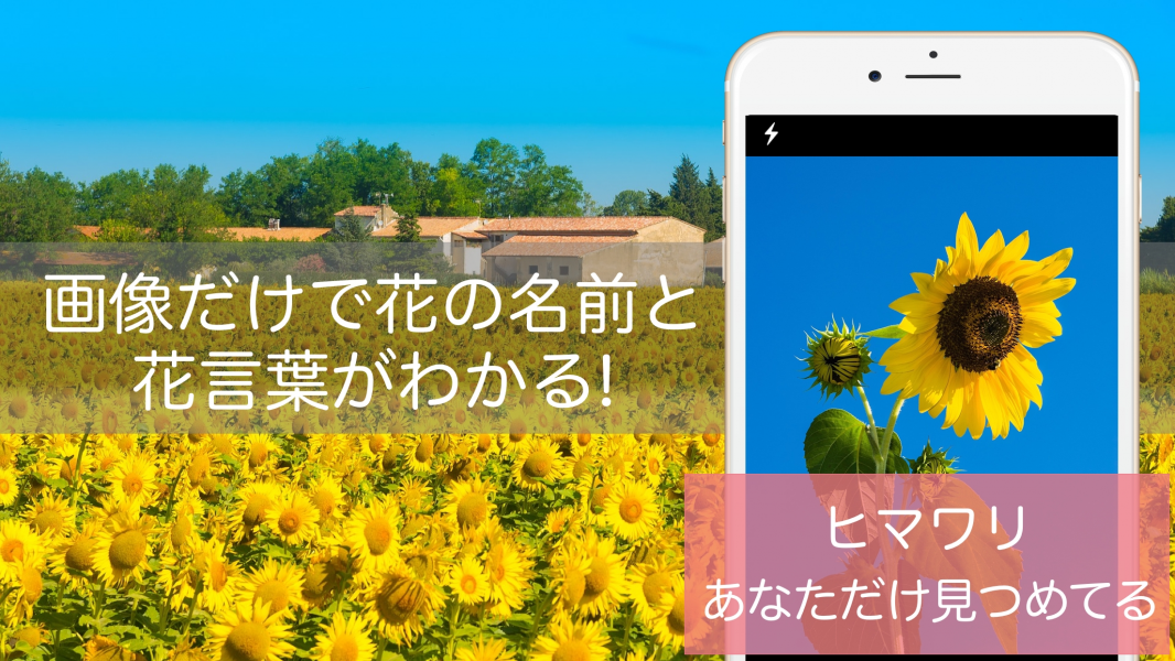D26662 3 713807 0
