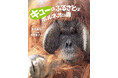 地球上から消えつつある、オランウータンの森。写真絵本『キューのふるさとはボルネオの森』5月12日発売