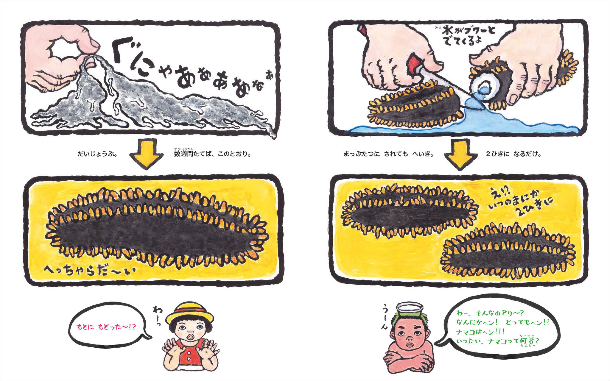 じつはすごい ナマコの生態を徹底解剖 ナマコ天国 ナマコ研究40年以上 ベストセラー ゾウの時間ネズミの時間 の著者 本川達雄が贈る科学絵本 株式会社 偕成社のプレスリリース