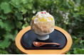 日本茶カフェ「八屋」オリジナルかき氷第4弾は、夏の暑さを忘れさせるさっぱりとした味わいの『烏龍茶と杏仁パインのかき氷』! ~シャキシャキ、ザクザク、もちもちの3つの異なる食感が楽しめるかき氷~