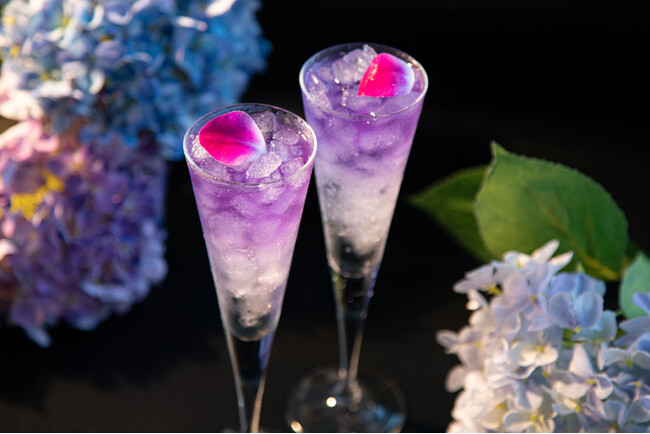 紫陽花Lovers特別プランにはオリジナルの乾杯　紫陽花カクテル付き　※ノンアルコールへの変更も可能