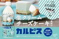 まるで飲むチーズケーキ!「生クリーム専門店Milk×カルピス」冬にぴったりの濃厚でコクのある「生クリームチーズケーキ風味のカルピス」が11月19日から期間限定販売!