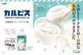 まさに飲むスイーツ!「生クリーム専門店ミルク」の「カルピス」コラボレーション第三弾【カルピス SWEET PREMIUM 北海道生クリームのプリン風】が2025年5月13日から期間限定販売!