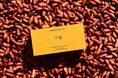 メゾンカカオの新提案【テロワール】を楽しむチョコレート。即完する月替わりの「生ガトーショコラ」、No.9は9月1日に登場 。