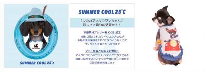 Summer Cool 25℃
