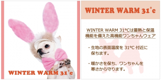 Winter Warm31℃
